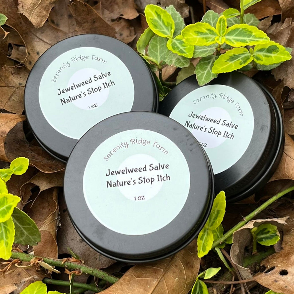 Three tins of Jewelweed Salve on leaves.