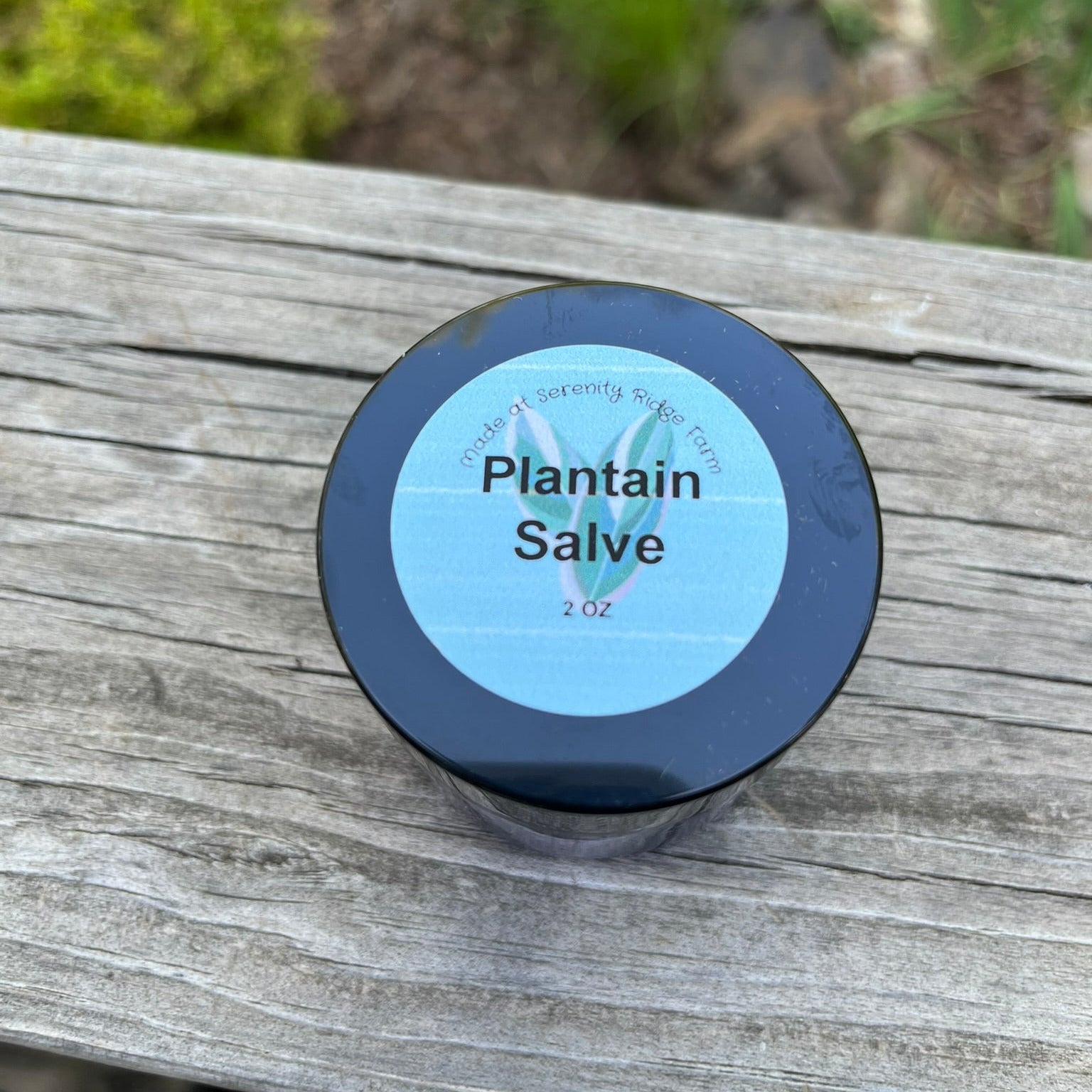 Jar of plantain Salve on wood